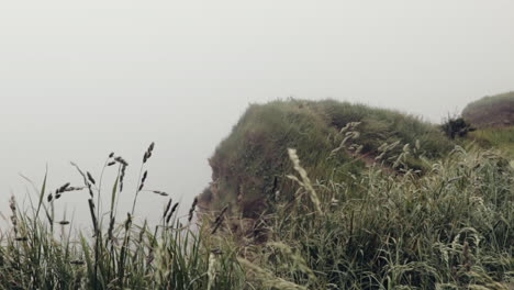 Windy-and-foggy-cliff-in-normandy