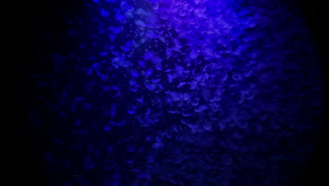 Medusas---Muchas-Medusas-Azules-Dentro-De-Una-Piscina-Redonda-Y-Gigante-En-El-Acuario-Kamon,-Japón