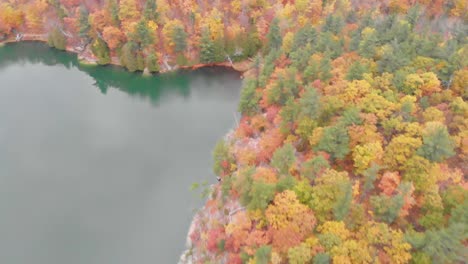 Rising-aerial-footage-over-trees-beside-pink-lake-and-mountains-in