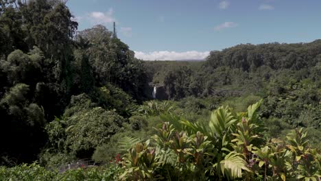 Top-of-Akaka-Falls-surounded-in-lush-forrest