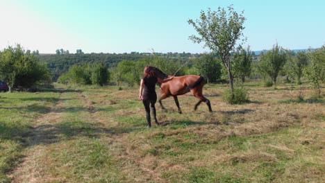 Girl-is-teaching-young-horse-to-walk-in-circle,-long-tracking-shot---Bulgaria