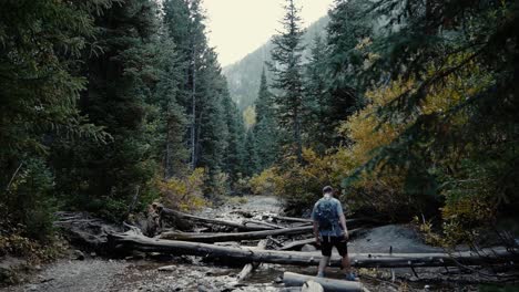 A-man-in-his-twenties-walks-on-logs-down-a-river-in-a-beautiful-autumn-forest-in-the-Big-Cottonwood-Canyon-in-UT