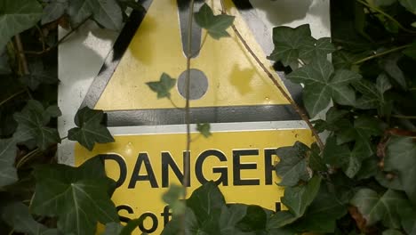 Hidden-danger-yellow-sign-partly-hidden-by-ivy