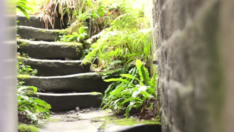 Upwards-pan-of-stone-steps-after-the-rain