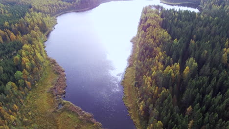 Tranquil-drone-footage-of-a-forest-lake-with-beautiful-reflections-from-the-sun-in-autumn