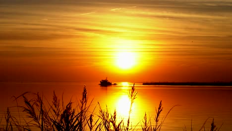 medium-wide-shot-of-golden-sunset-with-a-boat-crossing-the-frame