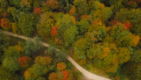 Forest-in-Iran-with-colorful-broad-leaf-trees-and-green,-brown,-yellow-and-red-foliage-in-wide-shot-aerial-footage