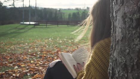 Erwachsenes-Mädchen-Sitzt-Unter-Dem-Baum-Und-Liest-Ein-Buch-In-Der-Herbstlandschaft-Und-Entspannt-Sich