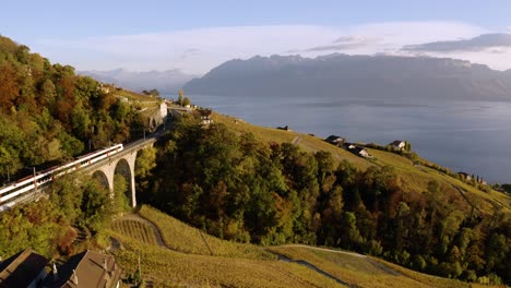 Aerial-shot-flying-next-to-railroad-old-viaduct-with-Swiss-train-crossing