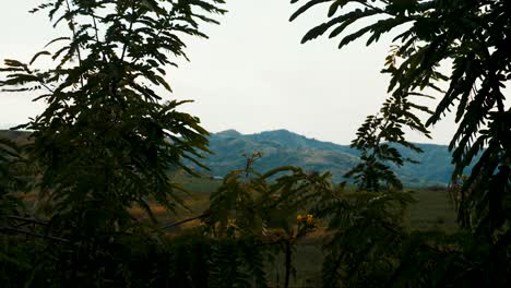 Time-lapse-Rwenzori-Mountains,-Uganda