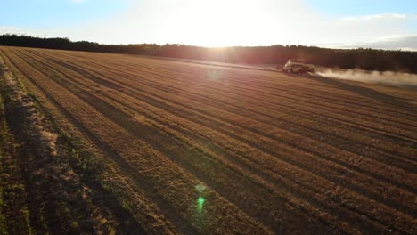 Combine-cutting-wheat-and-harvesting-near-a-farm-during-sunrise