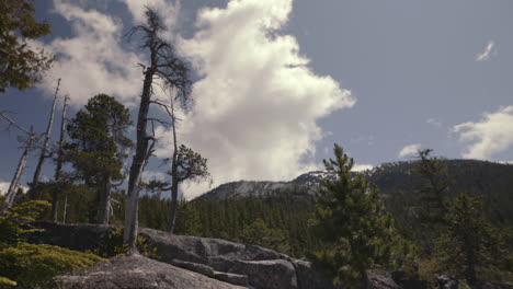 En-La-Cima-De-La-Montaña-Canadiense-Con-árboles-De-Hoja-Perenne-Y-Nubes