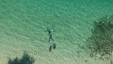 Scuba-divers-in-the-water-viewed-from-above