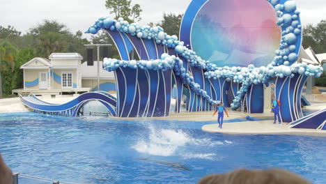 Zwei-Delfine-Führen-Bei-Einer-Show-In-Seaworld-Orlando-Gleichzeitig-Rückwärtssaltos-Aus