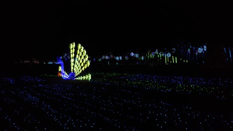 LED-Lighting-Festival-In-the-Park,-Peacock-Tail-Lights-up-yellow