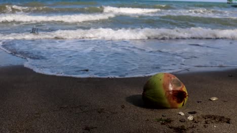 Eine-Kokosnussfrucht-Mit-Großen-Wellen-Im-Hintergrund