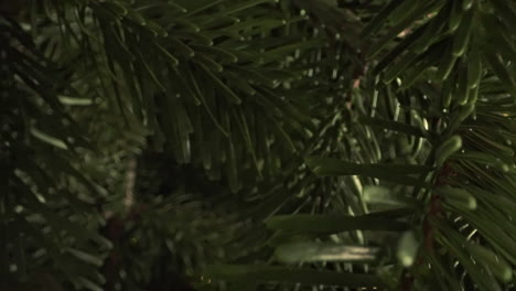 Ultra-Breite-Nahaufnahmebewegung-Durch-Den-Weihnachtsbaum