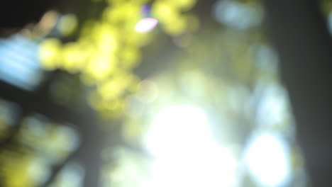 Green-and-blue-bokeh-with-sun-leaks
