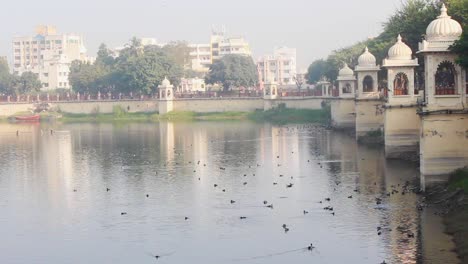 Beautiful-lake-in-a-city-with-birds-early-morning-scene-I-Beautiful-lake-stock-video