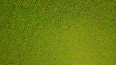 Drone-circling-around-a-lush-grassland-on-a-sunny-day