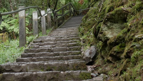 Stone-steps-steeply-leading-upwards-to-a-wooden-rest-area
