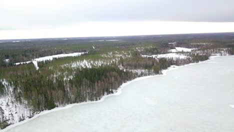 Aerial,-green-gold-of-Finland,-endless-spruce-and-pine-forests-in-wintertime,-small-lake-cabin-hut