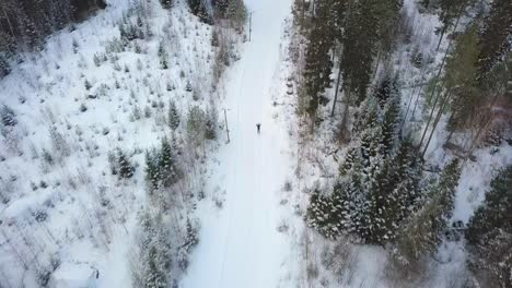 Aerial,-cross-country-skiing-in-winter-forest