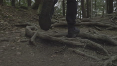 Slow-motion-close-up-of-feet-running-over-roots-in-the-forest