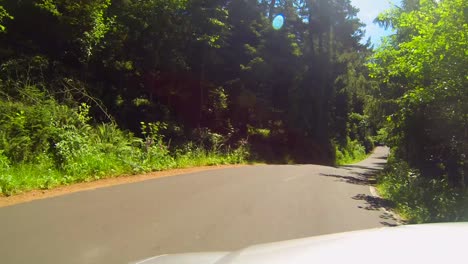 Driving-on-the-road-and-through-the-trees-near-Ecola-State-Park-and-Cannon-Beach-along-the-coastline-of-Oregon