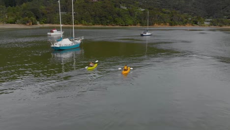 Couple-kayaking-around-yachts-in-bay-in-Marlborough-Sounds,-New-Zealand---Aerial