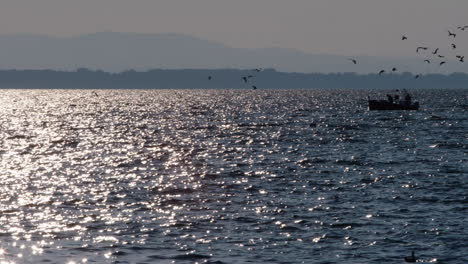 Un-Pequeño-Barco-De-Pesca-Conduce-Por-El-Lago-Seguido-De-Pájaros-Voladores