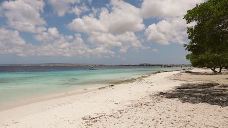 The-white-sand-of-Donkey-beach,-Bonaire