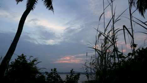 Silhouetten-Von-Kokospalmen-Während-Des-Sonnenuntergangs-Im-Backwater,-Abendszene-An-Den-Backwaters