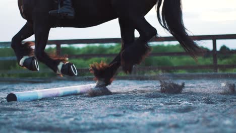 Black-Fell-Horse-Cantering-Over-Ground-Poles-In-a-School