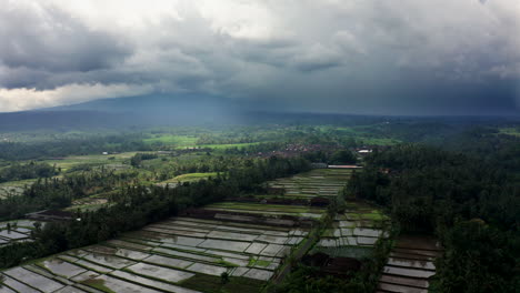 Aerial-drone-footage,-rice-fields-and-village-on-a-Mountain-in-Bali
