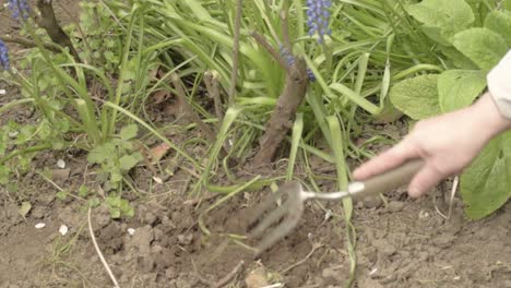 Gardener-turning-soil-with-hand-fork