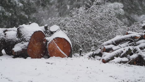 Slow-motion-snow-fall-blanketing-cut-wood-pile,-logs-and-branches-from-fallen-tree-in-winter