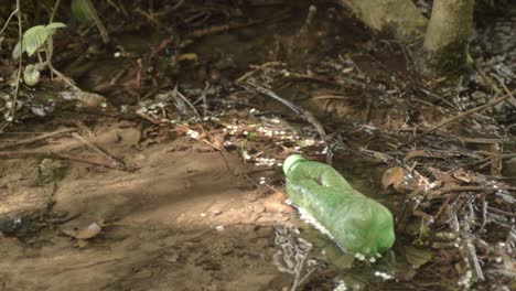 Plastic-bottle-pollution-in-countryside-stream