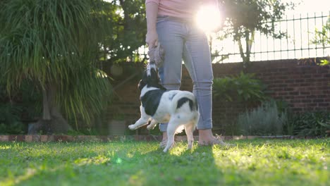 Eine-Person,-Die-Mit-Einem-Kleinen-Hund-Spielt-Und-Den-Hund-Bei-Sonnenuntergang-Auf-Gras-Herumschwingt