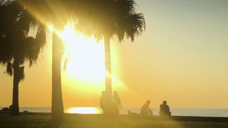 Time-Lapse-of-Palm-tree-and-people-near-the-beach