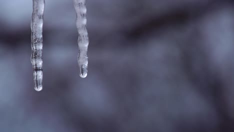 water-drop-slowly-falling-in-slow-motion-off-an-ice-cycle