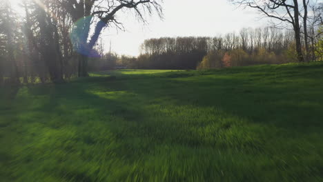 A-quick-cut-away-push-in-shot-of-a-green-field-in-Cognac,-France