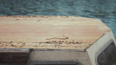 Static-shot-wooden-boat-cabin-roof-scraper-and-old-mastic-debris