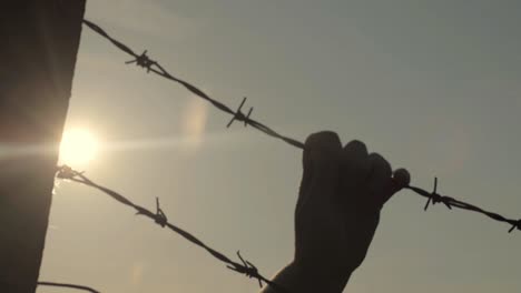 Trapped-behind-barbed-wire-fence-as-sun-falls