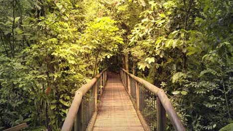 Suspension-wooden-bridge-across-the-rainforest-amazon-jungle,-Brazil