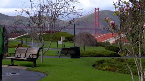 Young-man-sits-on-bench-in-view-of-the-Golden-Gate-Bridge-in-The-Presidio-of-San-Francisco-in-daytime