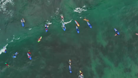Top-down-view-of-many-surfers-near-a-tropical-island