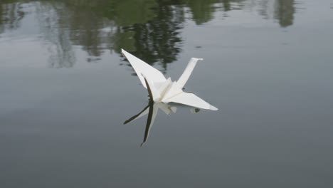 Putting-origami-swan-to-water-surface,-closeup-of-hand