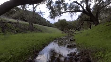 Drone-fly's-low-to-the-ground-tracing-a-small-creek-that-only-runs-after-rain-storms