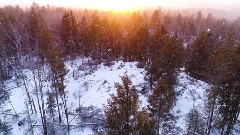 Im-Wald-Schneit,-Während-Man-Den-Sonnenuntergang-Sieht